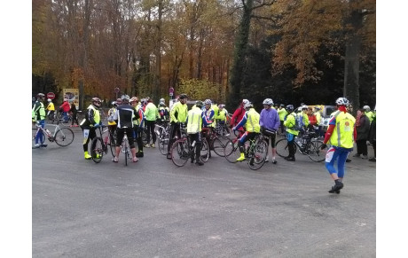 Rassemblement du 11 novembre 2016
